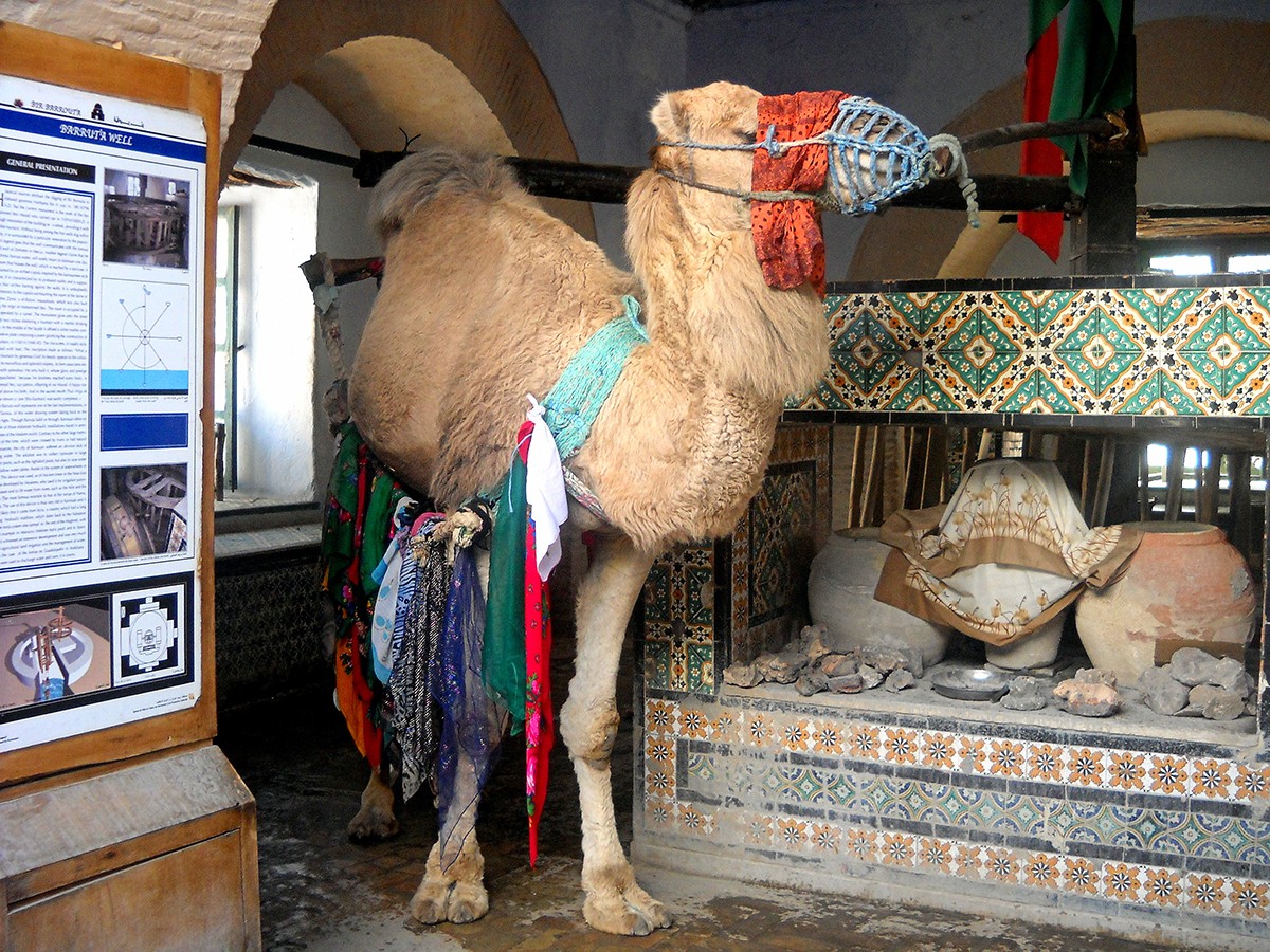 Bir Barrouta,Kairouan ,قيروان